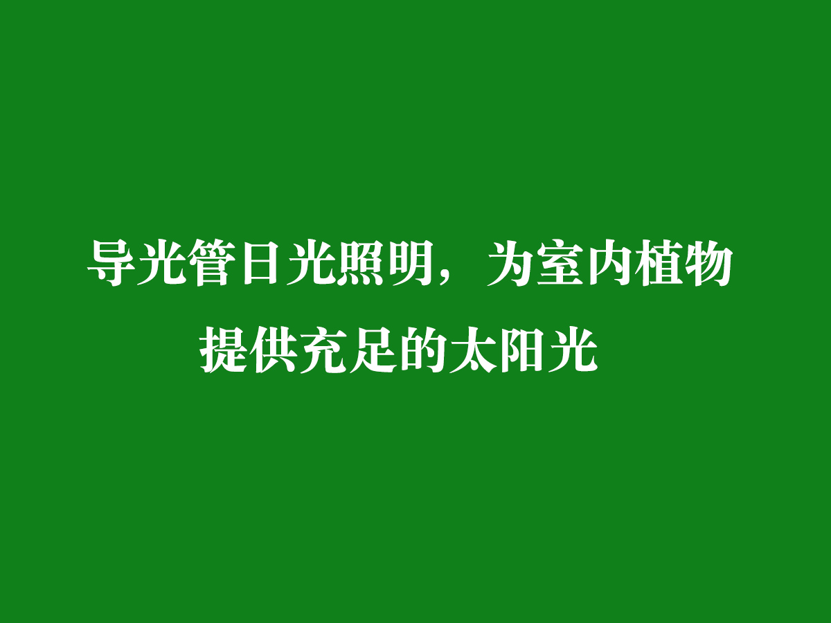 導(dǎo)光管日光照明，為室內(nèi)植物提供充足的太陽(yáng)光